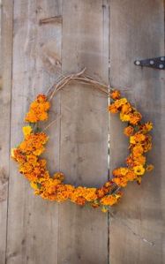 96c2ad80eb59e76e0cac41c374098b9b