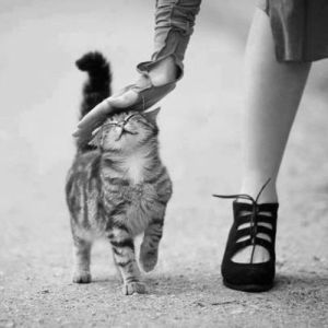 a1405043ea820e6faba507fa5b365b7a