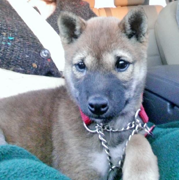 10474219_10205572161052307_2808208746346518788_n