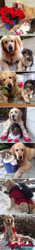 2985add9f659410227f3b6174a0ebe42