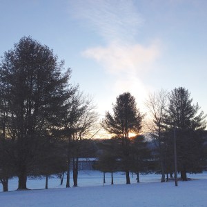 Photo Jan 17, 7 43 30 AM