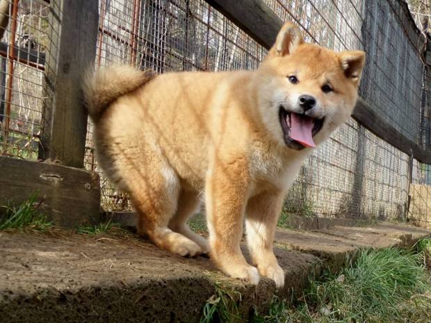 10981695_10203636269536004_5961644101012529822_n