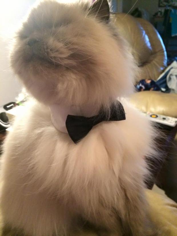 18505_10206008080139043_5836241029251231817_n