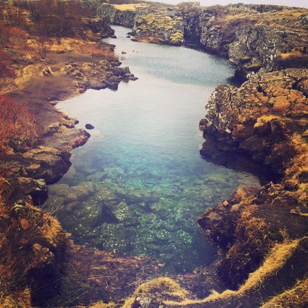 22720_10103404784855713_6792636869651389121_n