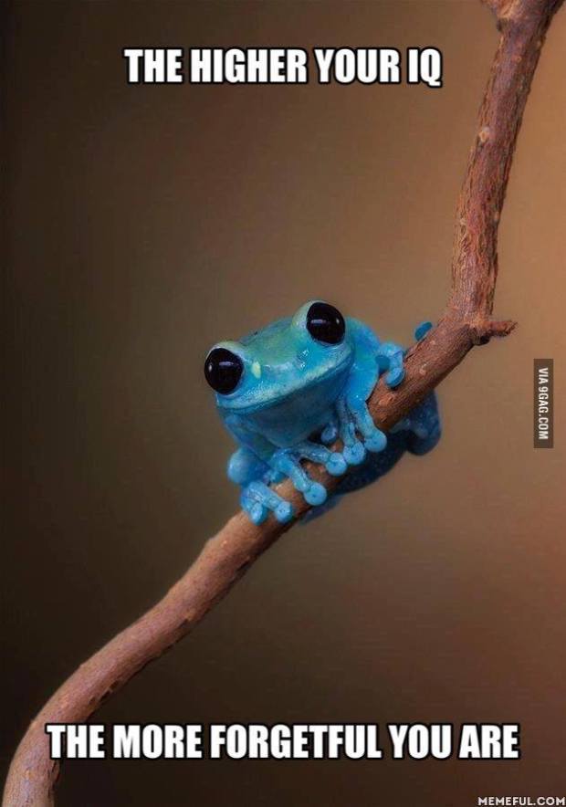 10930162_10153252818691840_6622303764210119874_n