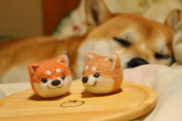 11058792_824598824288962_7008938830194926940_n