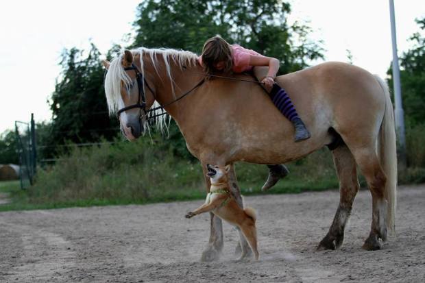 11707552_10203423645705717_2234641052373778464_n