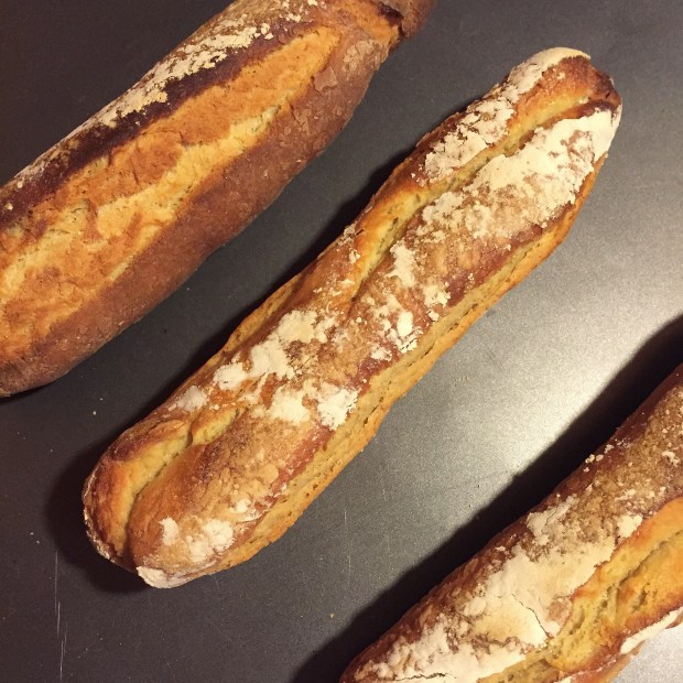 Photo Sep 20, 8 23 39 PM