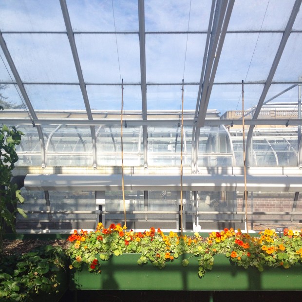 Photo Apr 06, 4 54 20 PM