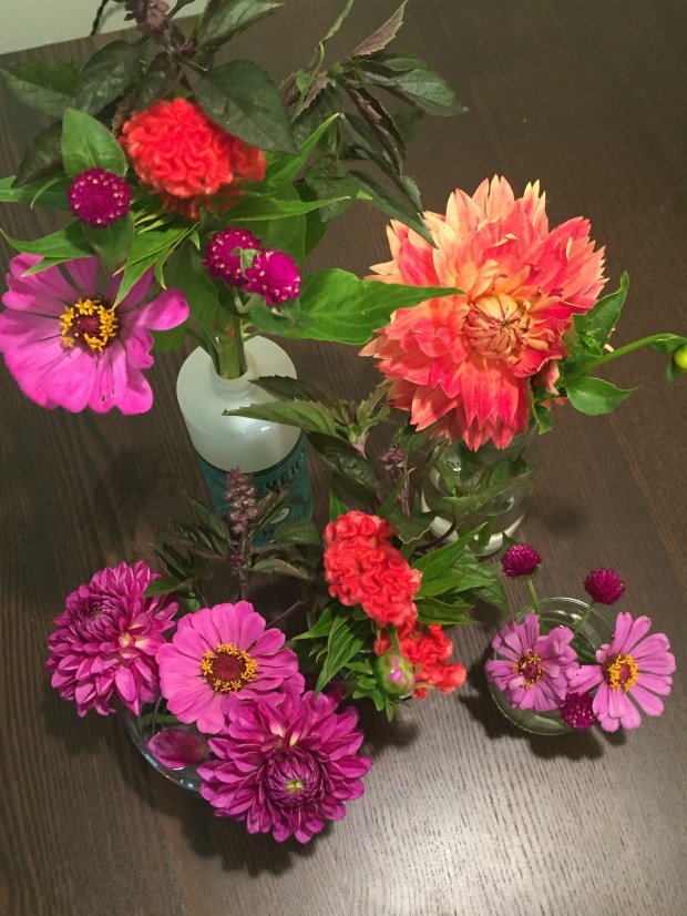 Photo Aug 13, 9 28 23 AM